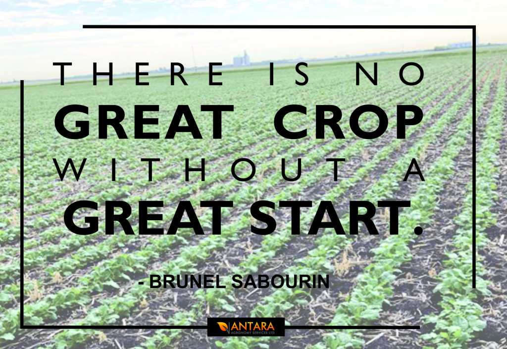 great start important to agronomy