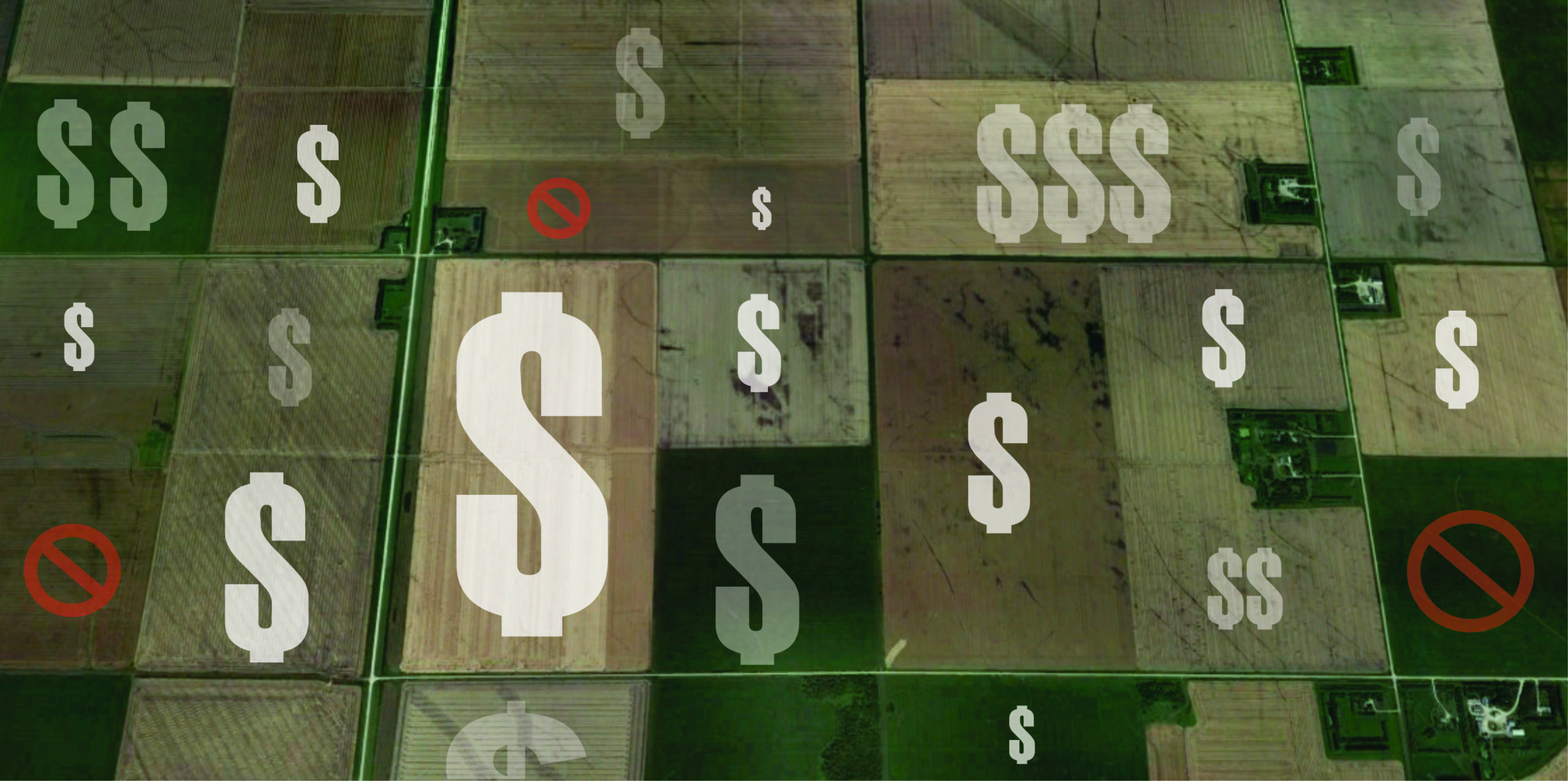 Land Prices and Productivity