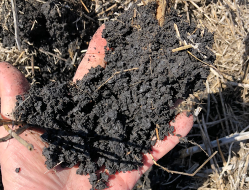 A Meal Plan for Soil Health