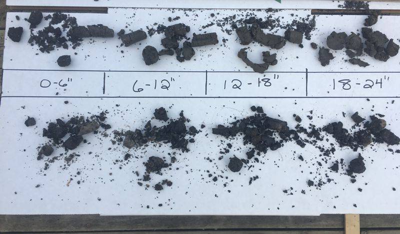 Soil Moisture Cores