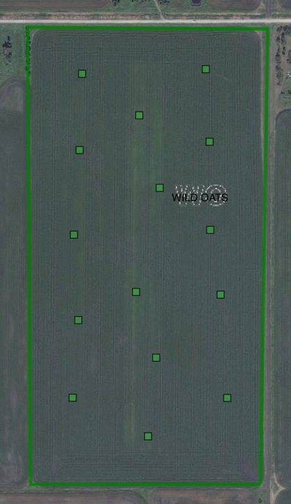 soil test points