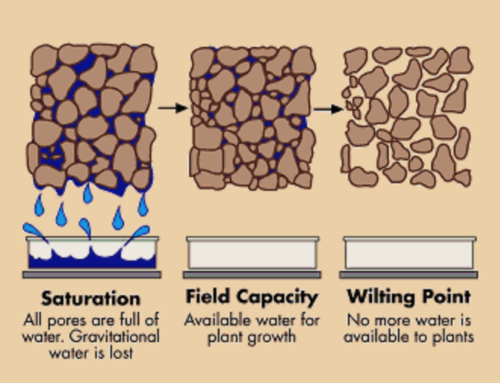 Water Availability & Utilization: How Much Water is Needed and the 4 Factors that Impact Crop Water Use — Part 1