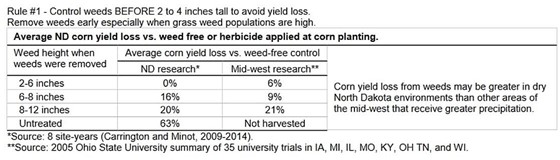 Corn Trial Results - Early weed removal