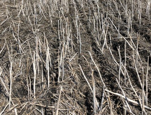 The Importance of Residue Management