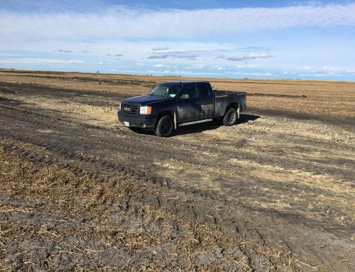 Soil Test: A Small Step That Makes a Big Difference