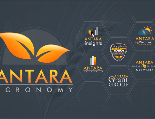 Collaboration Builds Farming Success with Antara Agronomy
