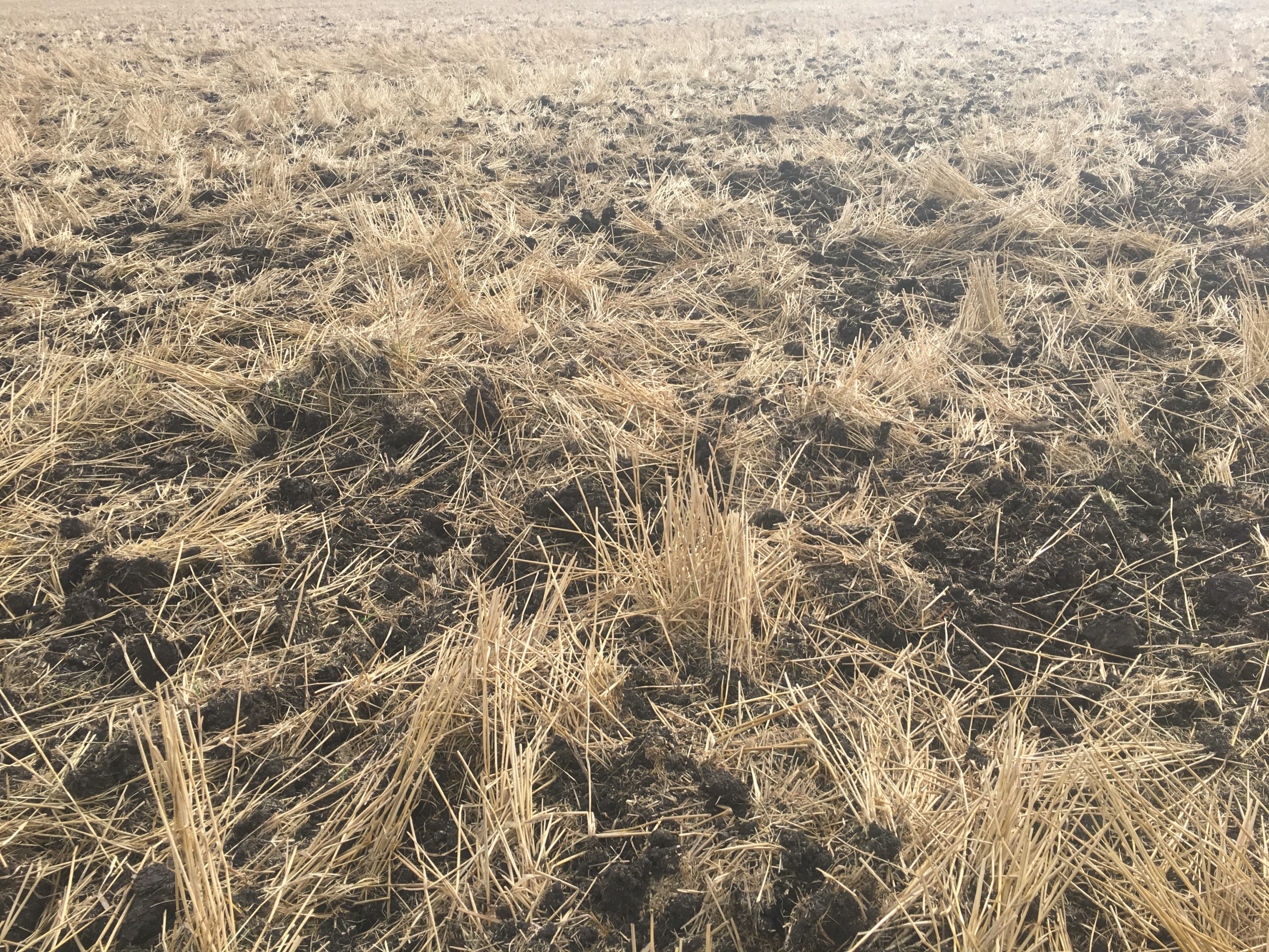 Residue left on the field after harvest. 